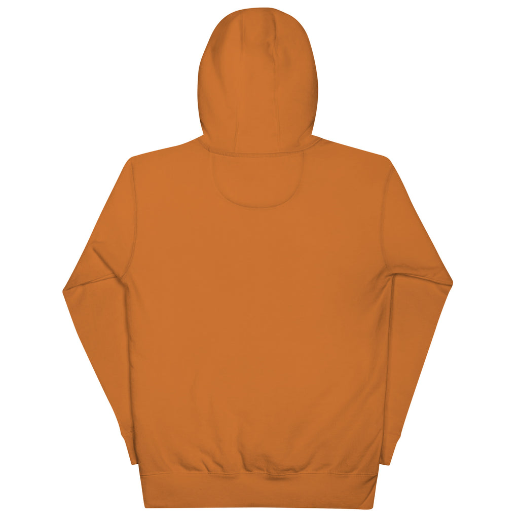 Back/detail view of Gravy Athletics Vintage Varsity Unisex Hoodie graphic hoodie