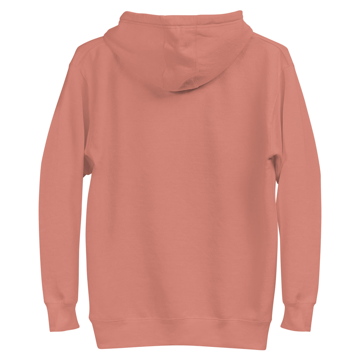 Back/detail view of One Day or Day One – Premium Unisex Pullover Hoodie (Motivation Quote) graphic hoodie
