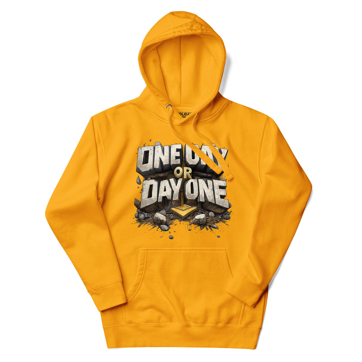 Back/detail view of One Day or Day One – Premium Unisex Pullover Hoodie (Motivation Quote) graphic hoodie