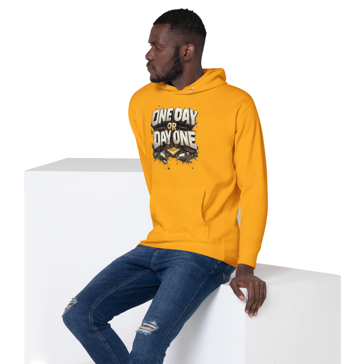 Back/detail view of One Day or Day One – Premium Unisex Pullover Hoodie (Motivation Quote) graphic hoodie