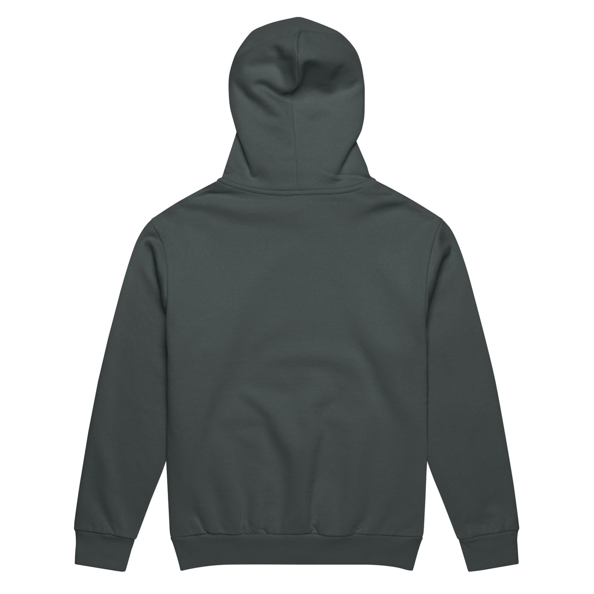 Back/detail view of Thankful for Coffee (and Pie) – Urban Garment-Dyed Hoodie (Oversized) graphic hoodie