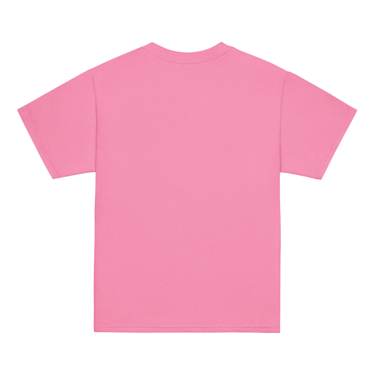 Back/detail view of Easter Squad (Bunny Icons) Design Youth classic tee graphic T-shirt